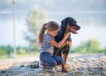 Non esistono cani cattivi, è la malagestione a provocare tragedie