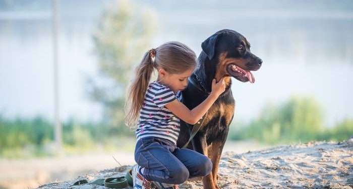 Non esistono cani cattivi, è la malagestione a provocare tragedie