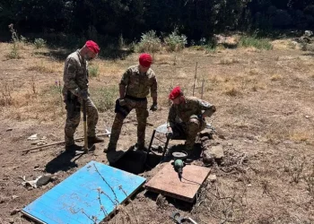 Sequestrata piantagione di marijuana sotterranea, due arresti