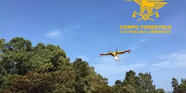 Inferno di fuoco in Sardegna: il fumo invade il sud dell’isola