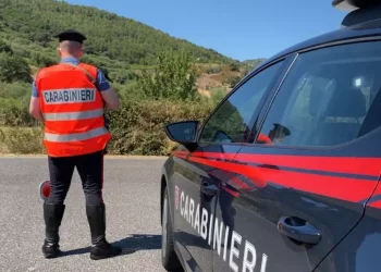 In un garage a Desulo un deposito di marijuana, 30enne arrestato