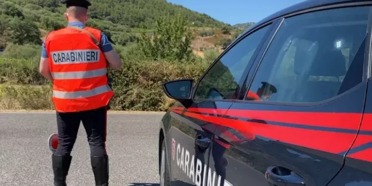 In un garage a Desulo un deposito di marijuana, 30enne arrestato