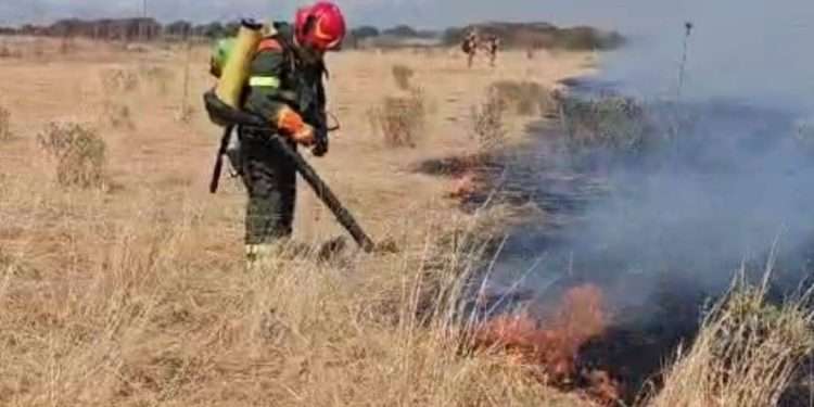 Fiamme a Nurri, prosegue da ieri il vasto incendio