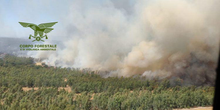 35 incendi in Sardegna, afa e maestrale complici delle fiamme