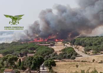 Inferno di fuoco in Sardegna: 26 incendi nelle ultime ore