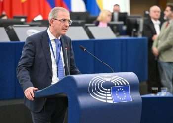 Nuovo Bilancio UE, Falcone (FI-PPE): «Più dubbi che certezze su fondi, difenderemo famiglie e imprese in Parlamento»