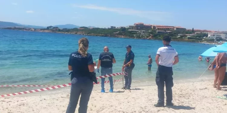 Resti organici in spiaggia Olbia, al lavoro la Scientifica