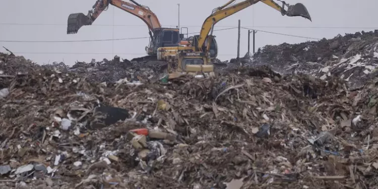 Crescono ecomafie, nel 2024 40mila reati contro l’ambiente