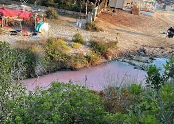 Denuncia di Maremosso, “A Golfo Aranci liquami nello stagno della spiaggia di Sos Aranzos?”