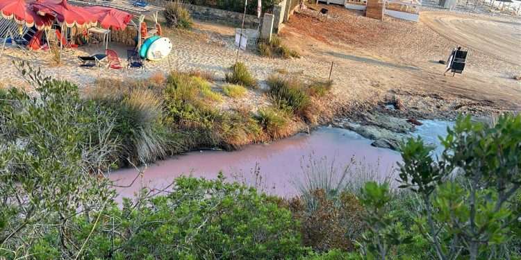 Denuncia di Maremosso, “A Golfo Aranci liquami nello stagno della spiaggia di Sos Aranzos?”