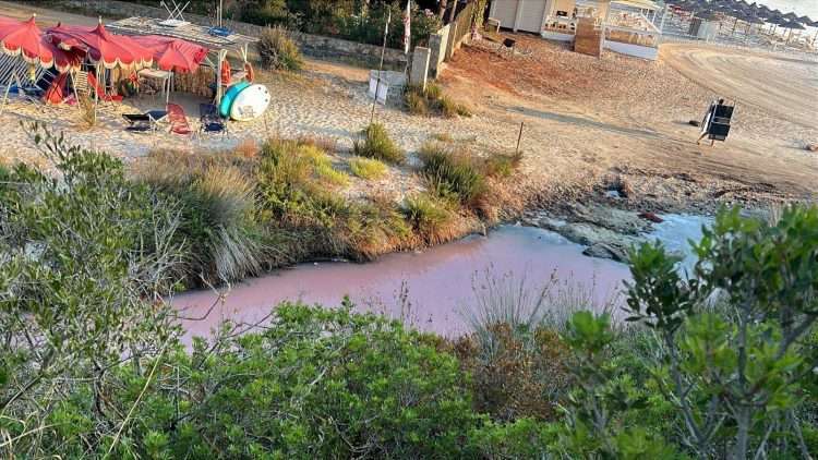 Denuncia di Maremosso, “A Golfo Aranci liquami nello stagno della spiaggia di Sos Aranzos?”