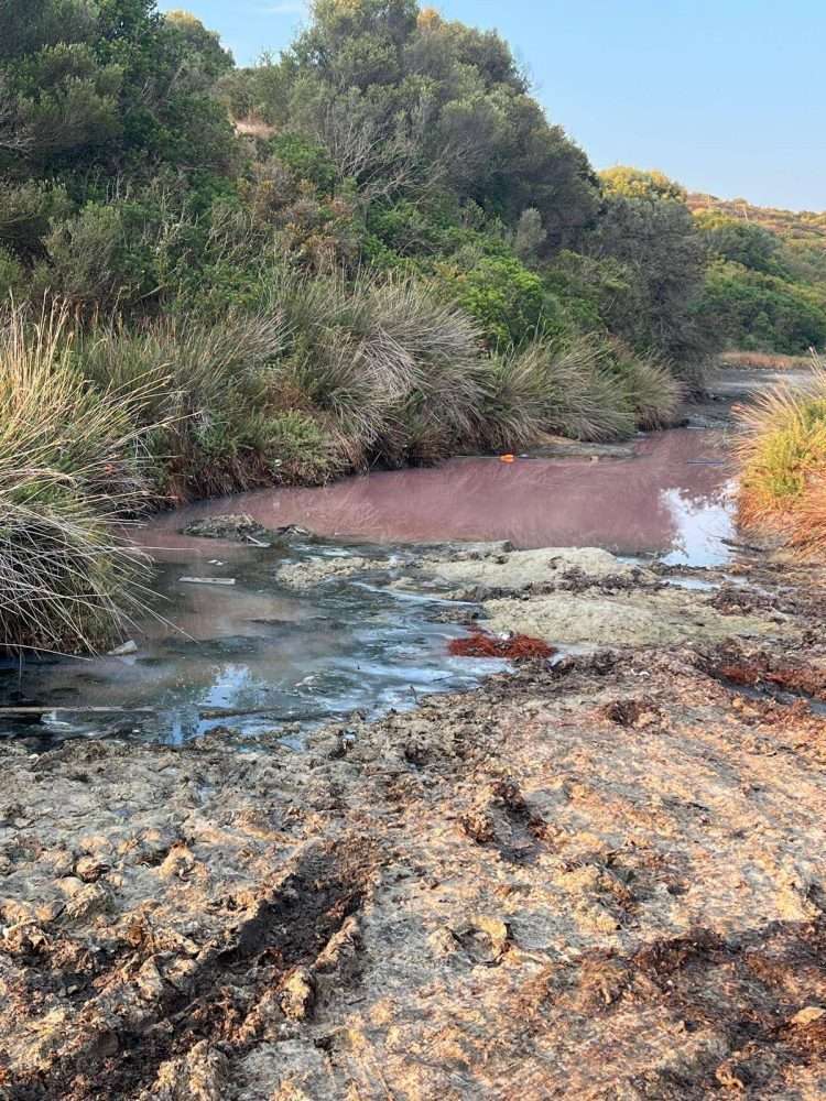 Denuncia di Maremosso, “A Golfo Aranci liquami nello stagno della spiaggia di Sos Aranzos?”