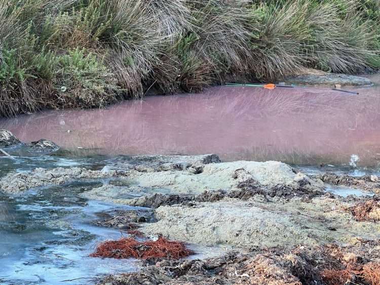 Denuncia di Maremosso, “A Golfo Aranci liquami nello stagno della spiaggia di Sos Aranzos?”