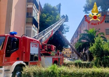 Paura ad Assemini, albero cade su palazzina