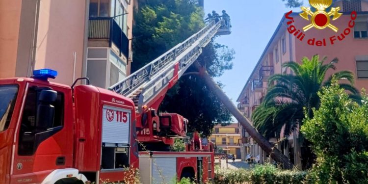 Paura ad Assemini, albero cade su palazzina