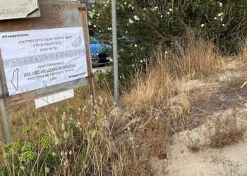 Associazione Libertade: “Utilizzo del diritto penale per limitare la libertà di pensiero”