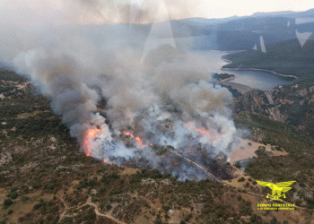 16 incendi in Sardegna nella giornata di martedì 12 agosto