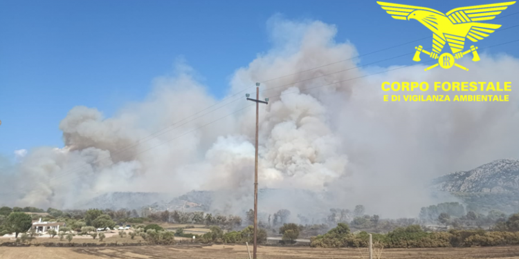 Afa e maestrale, inferno di fuoco nell’isola: 20 incendi in Sardegna