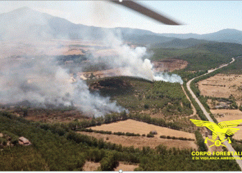 12 incendi in Sardegna, fiamme da nord a sud dell’isola