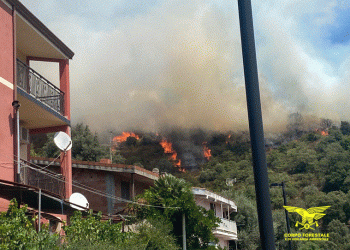 Vasto incendio a Seulo: in azione tre elicotteri per spegnere le fiamme vicine all’abitato