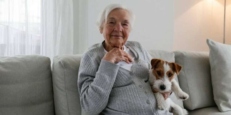 Cani e gatti ora possono entrare nelle case per anziani: ecco come funziona