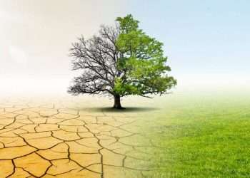 Processi partecipati per adattamento ai cambiamenti climatici: proposte Enti locali entro il 10 settembre 2025