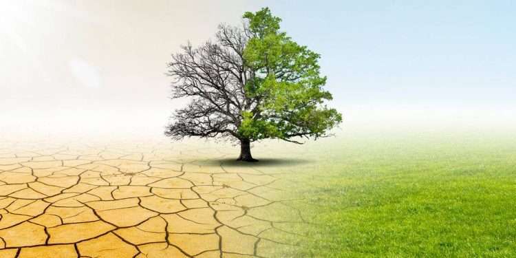 Processi partecipati per adattamento ai cambiamenti climatici: proposte Enti locali entro il 10 settembre 2025