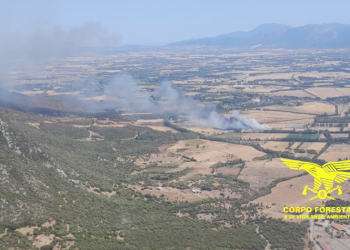 17 incendi nelle ultime ore in Sardegna