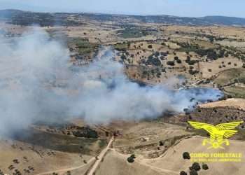 Incendi in Sardegna, 15 nelle ultime ore