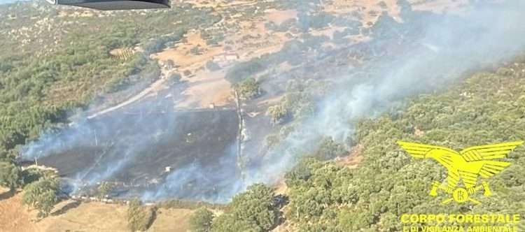 16 incendi in Sardegna nelle ultime ore