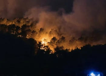 Incendio divampa nel Sud della Francia, devastati 11.000 ettari di vegetazione