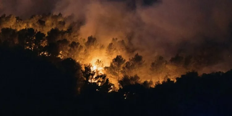 Incendio divampa nel Sud della Francia, devastati 11.000 ettari di vegetazione
