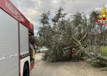 Forte temporale sulla Romagna, grandine, strade allagate e alberi crollati sulle auto