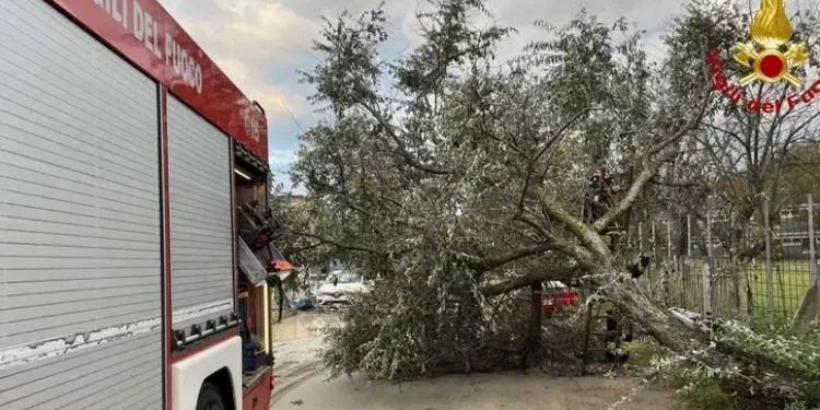 Forte temporale sulla Romagna, grandine, strade allagate e alberi crollati sulle auto