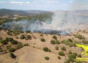 10 incendi in Sardegna nella giornata del 29 agosto