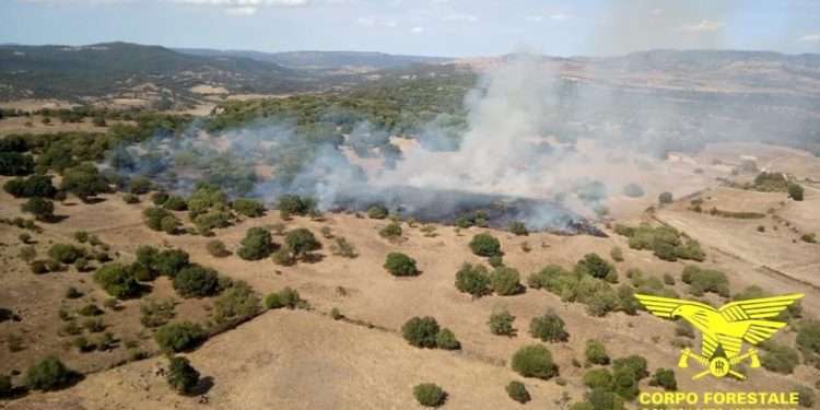 10 incendi in Sardegna nella giornata del 29 agosto