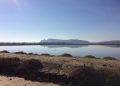 Selezione per un Funzionario Biologo al Parco Molentargius-Saline
