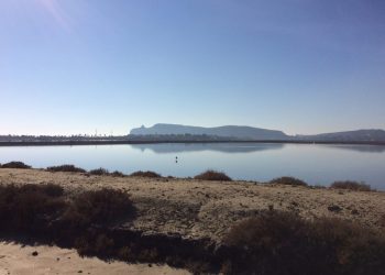 Selezione per un Funzionario Biologo al Parco Molentargius-Saline