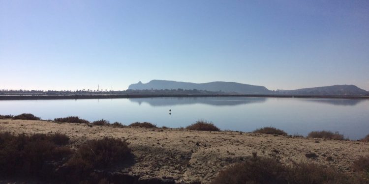 Selezione per un Funzionario Biologo al Parco Molentargius-Saline