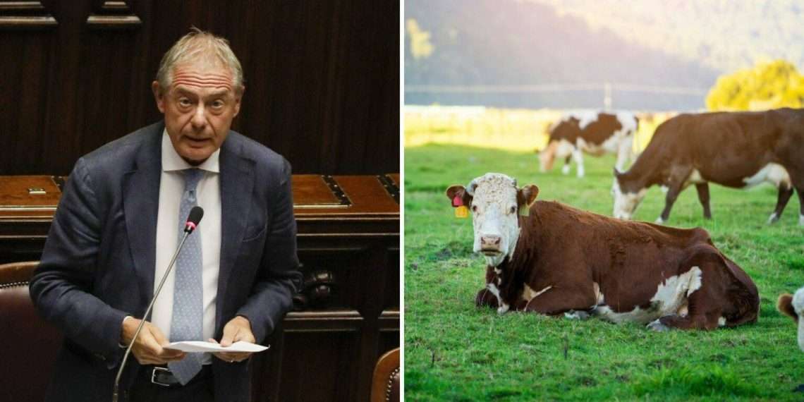 Urso e le ‘fattorie’ del digitale: gaffe dall’inglese mentre parla del Made in Italy