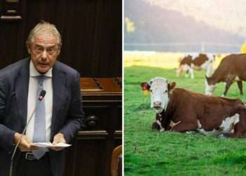 Urso e le ‘fattorie’ del digitale: gaffe dall’inglese mentre parla del Made in Italy