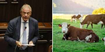 Urso e le ‘fattorie’ del digitale: gaffe dall’inglese mentre parla del Made in Italy