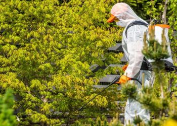 Ambiente: 8,5 milioni di euro alle Province per la lotta agli insetti nocivi e ai parassiti