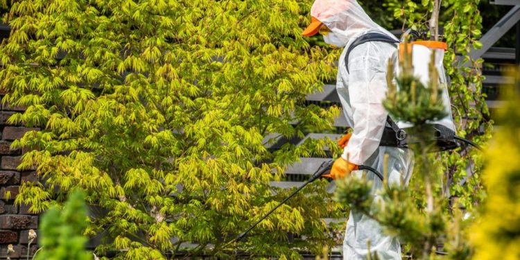 Ambiente: 8,5 milioni di euro alle Province per la lotta agli insetti nocivi e ai parassiti