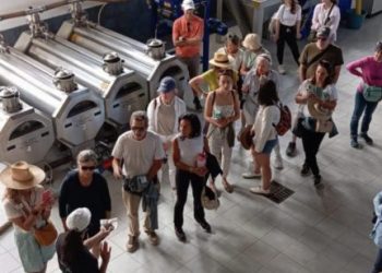 Oleoturismo in Ogliastra: tra identità, accoglienza e sviluppo