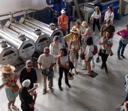 Oleoturismo in Ogliastra: tra identità, accoglienza e sviluppo