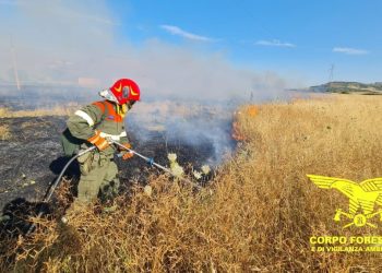 incendi in Sardegna, 15 nelle ultime ore