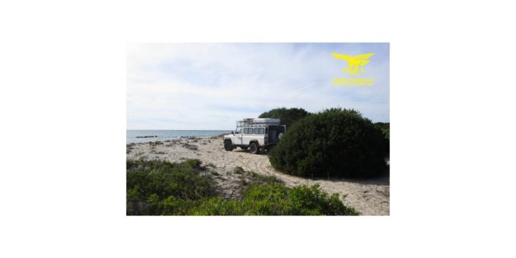 Fuoristrada sulla spiaggia: sanzionati i conducenti