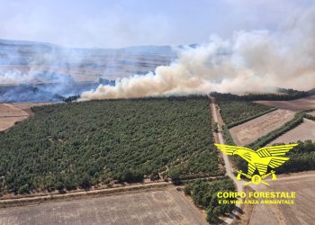 Fiamme in Sardegna, 20 incendi nelle ultime ore