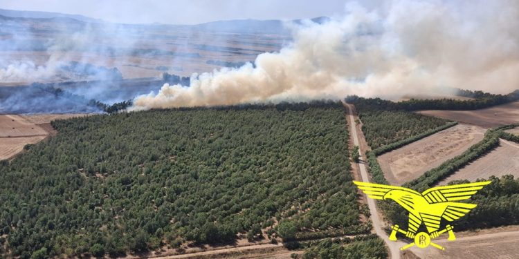 Fiamme in Sardegna, 20 incendi nelle ultime ore